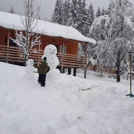 Cottage Shgedi Mestia Dış mekan fotoğraf