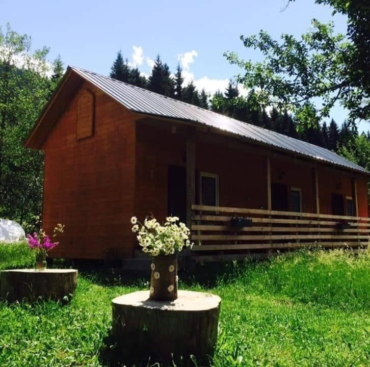 Cottage Shgedi Mestia Dış mekan fotoğraf