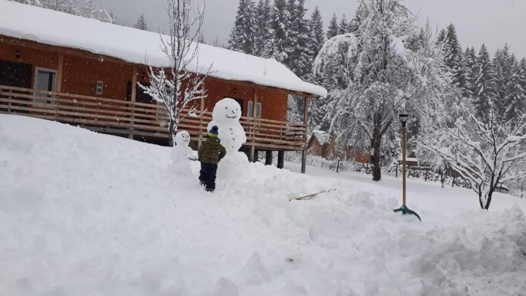 Cottage Shgedi Mestia Dış mekan fotoğraf