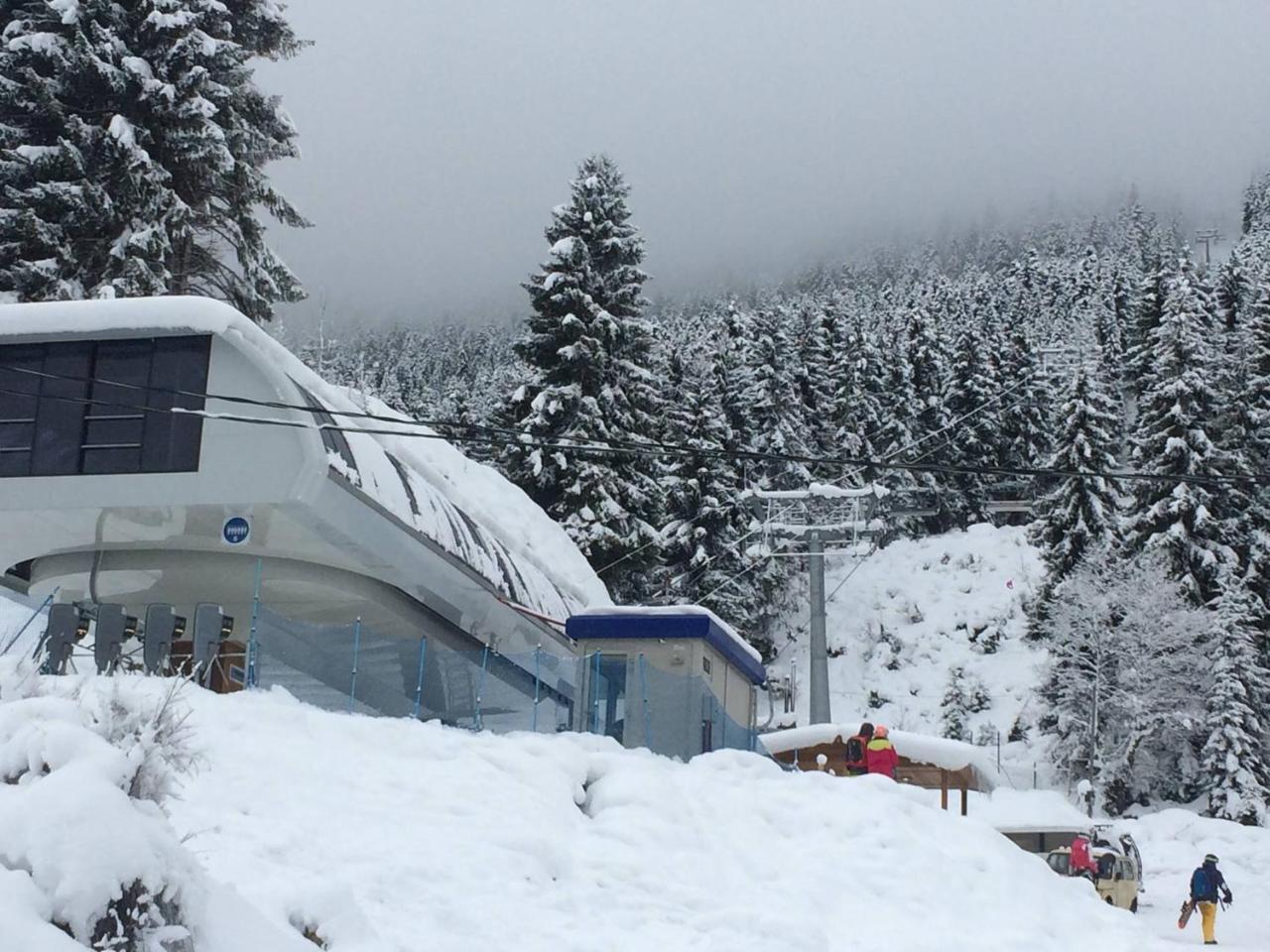 Cottage Shgedi Mestia Dış mekan fotoğraf