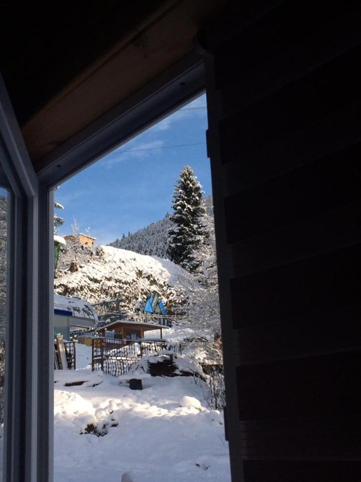 Cottage Shgedi Mestia Dış mekan fotoğraf
