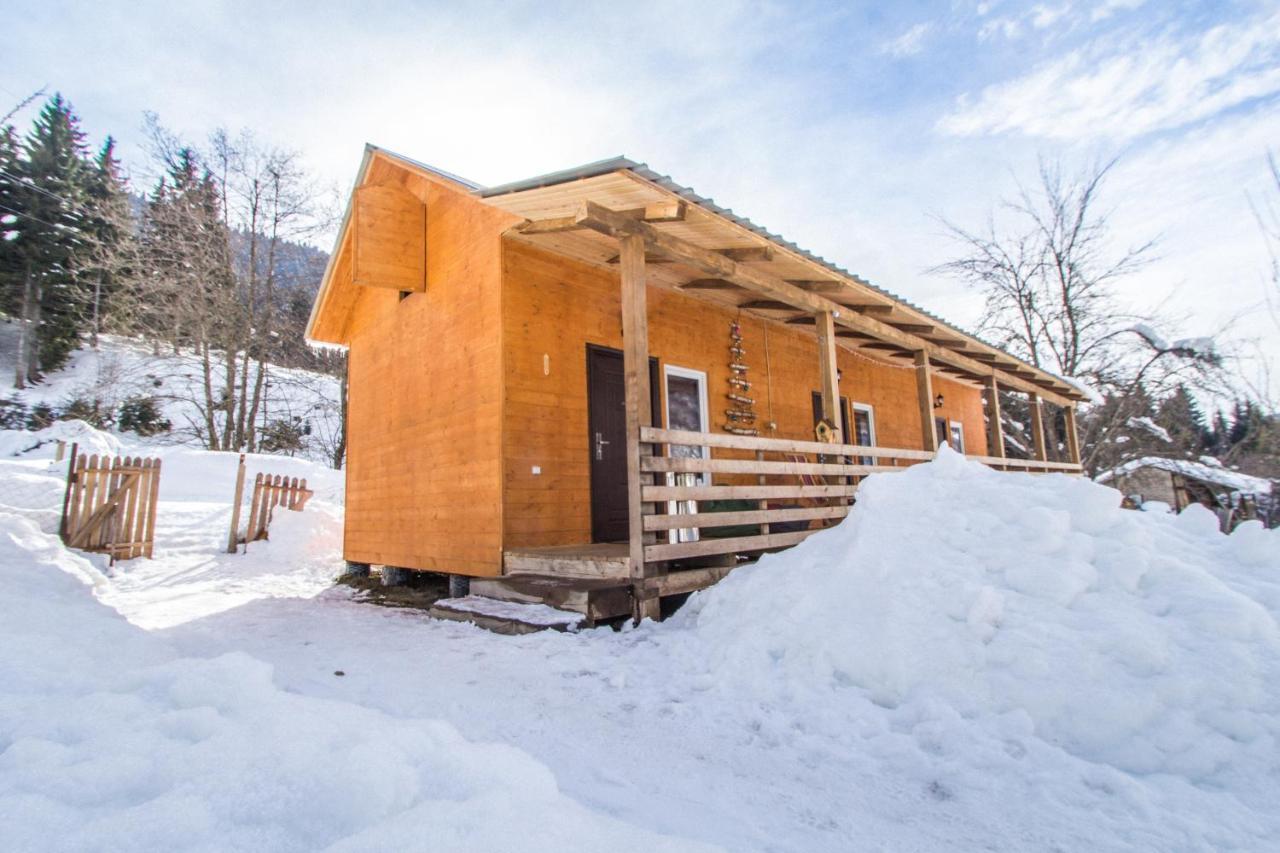 Cottage Shgedi Mestia Dış mekan fotoğraf