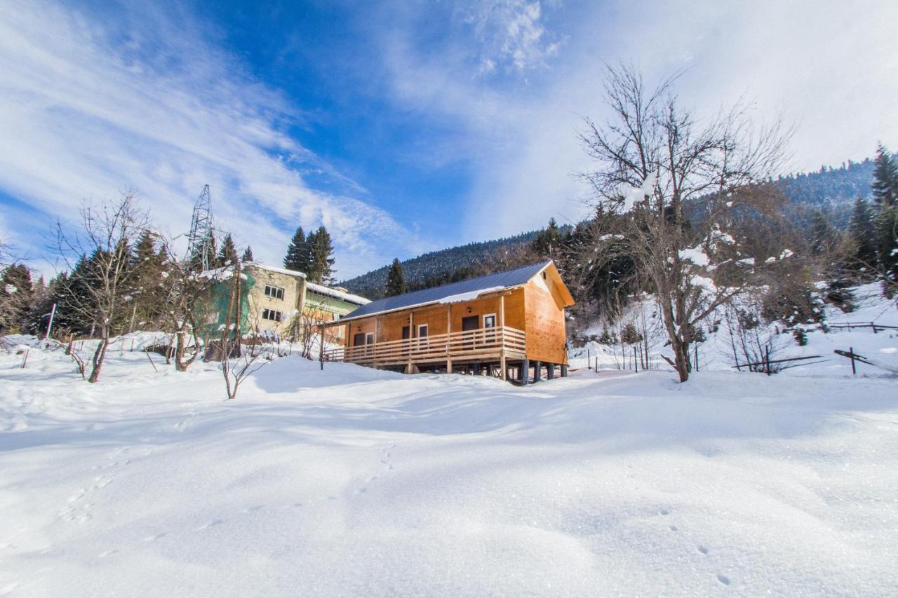 Cottage Shgedi Mestia Dış mekan fotoğraf